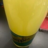 Schweppes Biter Lemon Ibp 1,5 l